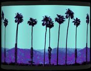 Palm Tree Haze Giclee Glow Shade 13.5x13.5x10 (Spider)