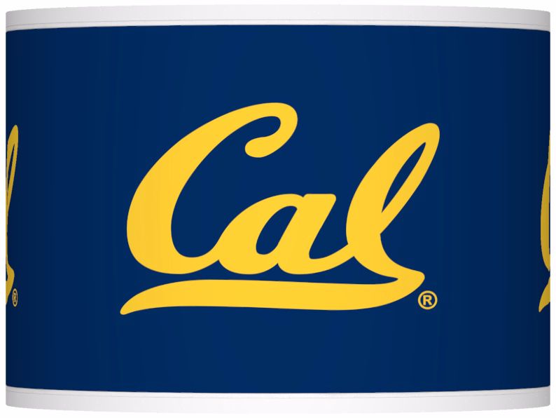 University of California Berkeley Shade 13.5x13.5x10 (Spider)