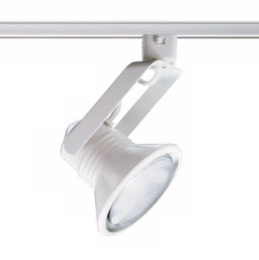 Trac-Master PAR30 Flyback Track Light.
