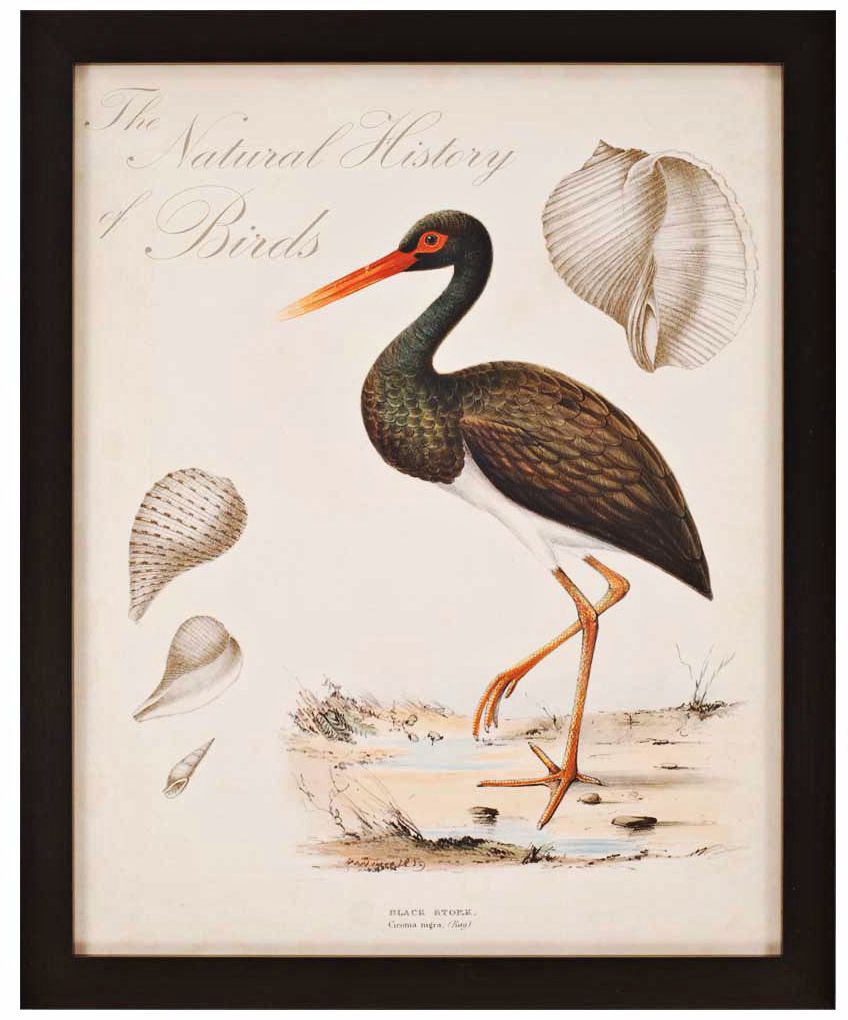 Heron Anthology I 33" High Framed Wall Art