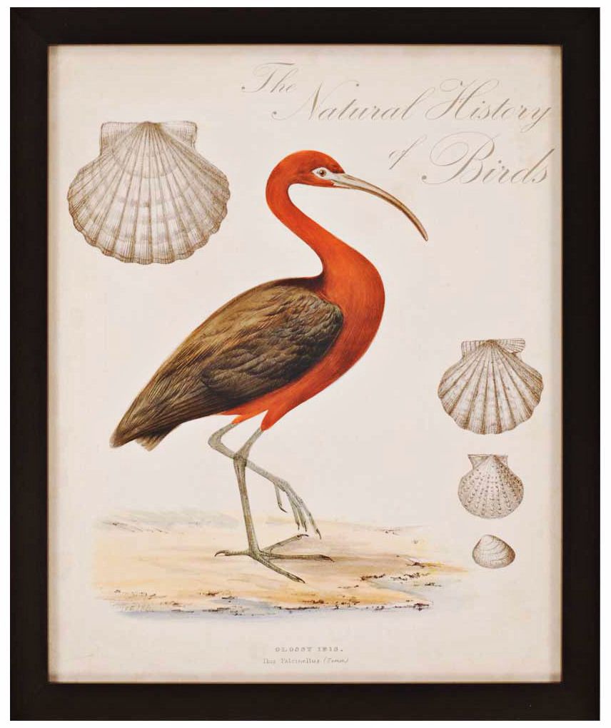 Heron Anthology II 33" High Framed Wall Art