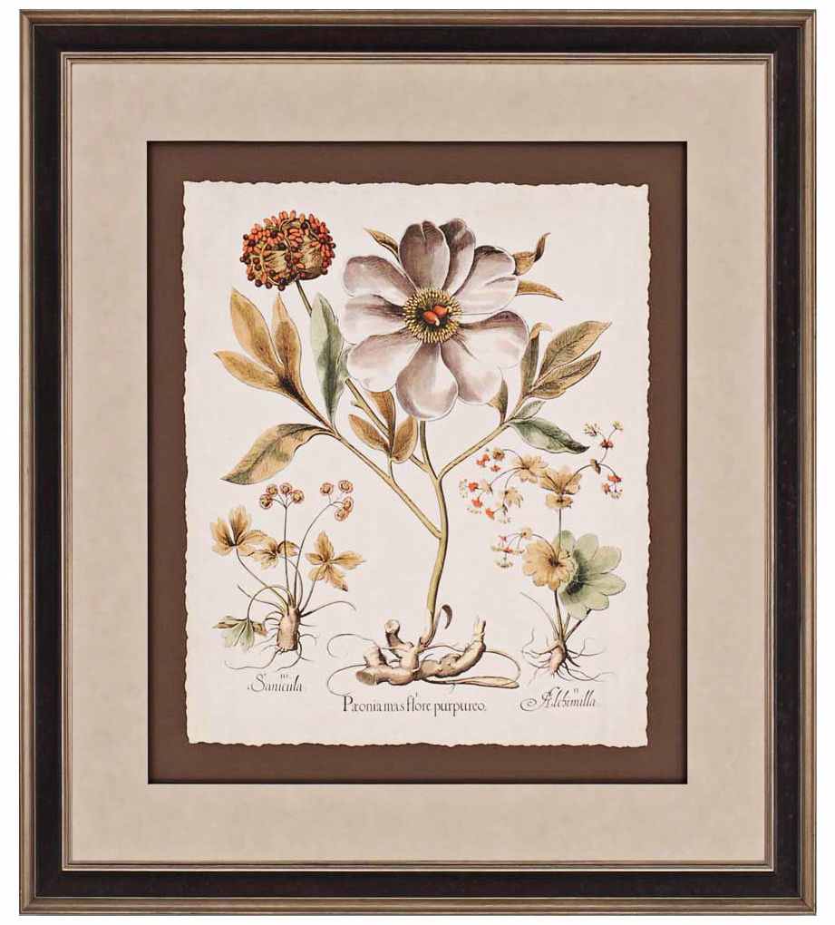 Ivory Peonies II 38" High Framed Wall Art