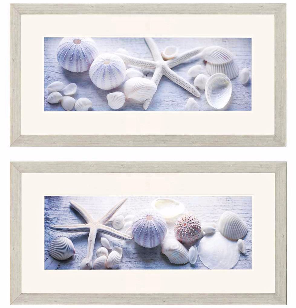 Set of 2 Driftwood Shells 36" Wide Framed Wall Art