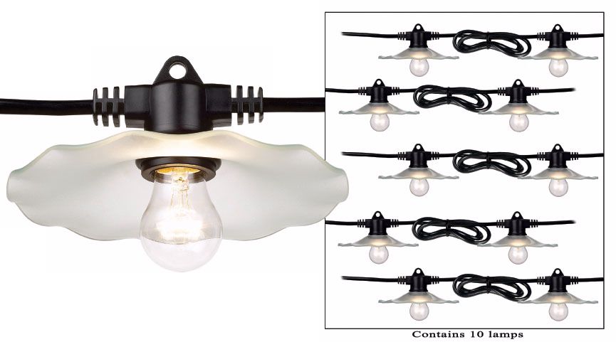 Ten 50 Foot Long Glass Shade String Lights