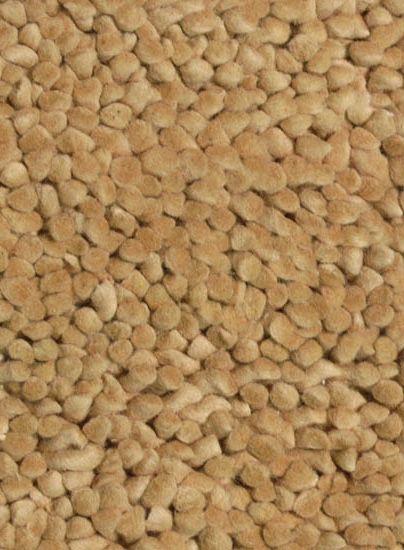 Contempo Beige Area Rug