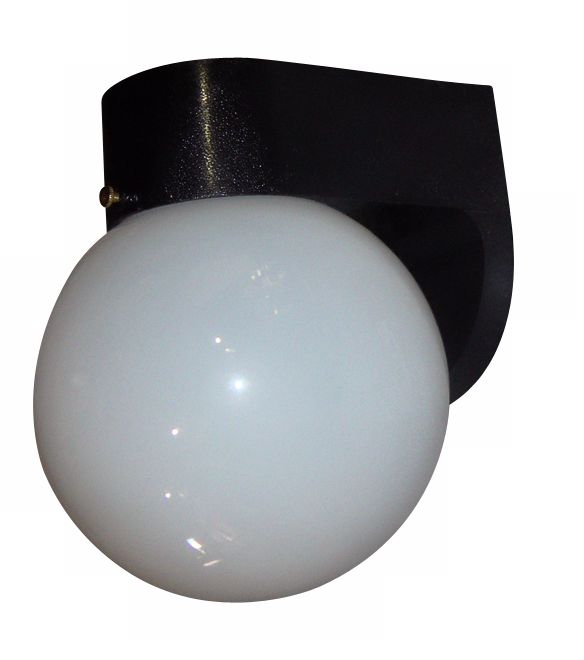 Black Globe Outdoor Wallmount Light