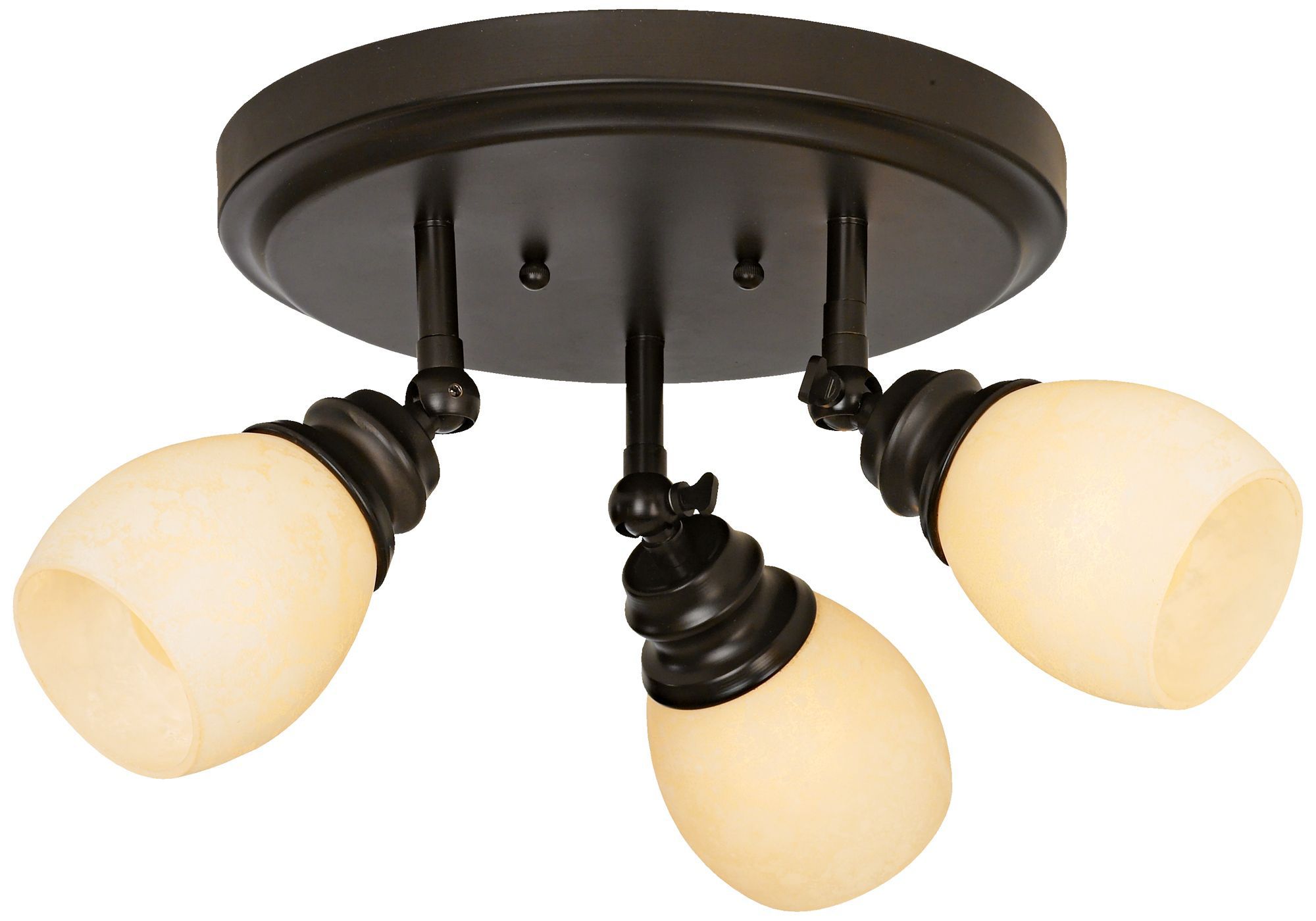 LED Elm Park Collection Bronze 3-Light Adjustable Light Fixture