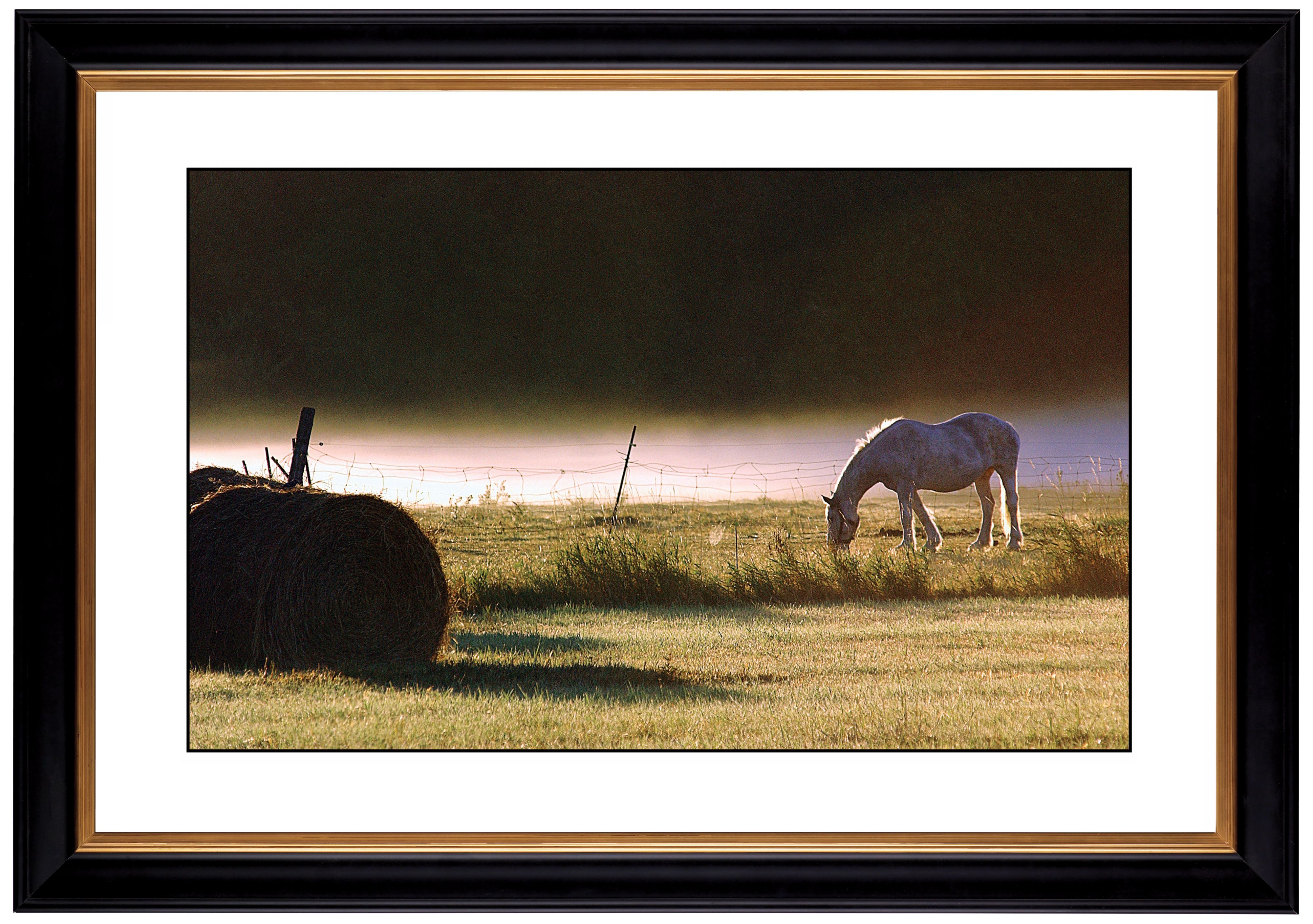 Pasture Giclee 41 3/8" Wide Wall Art