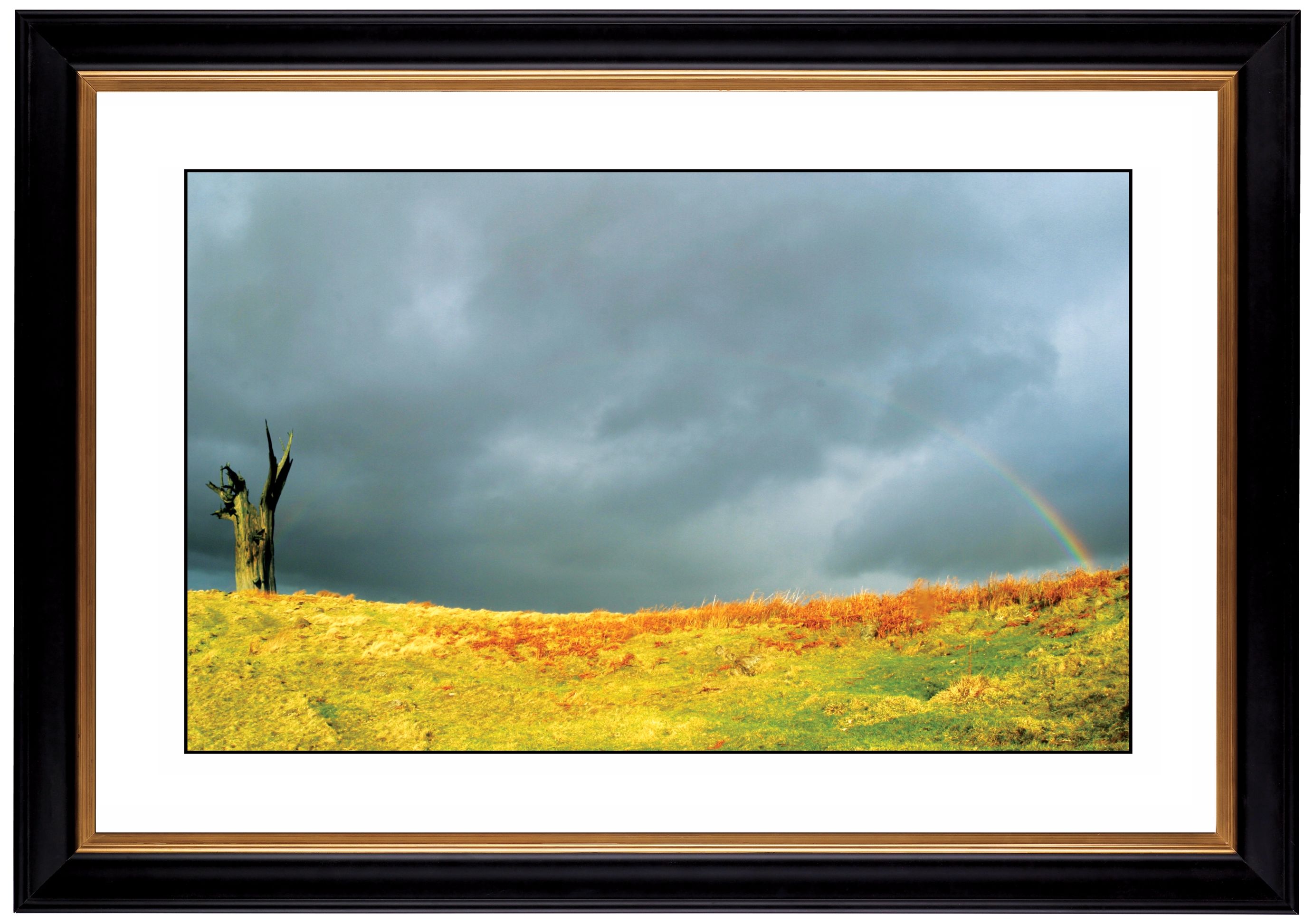 After The Rain Giclee 41 3/8" Wide Wall Art