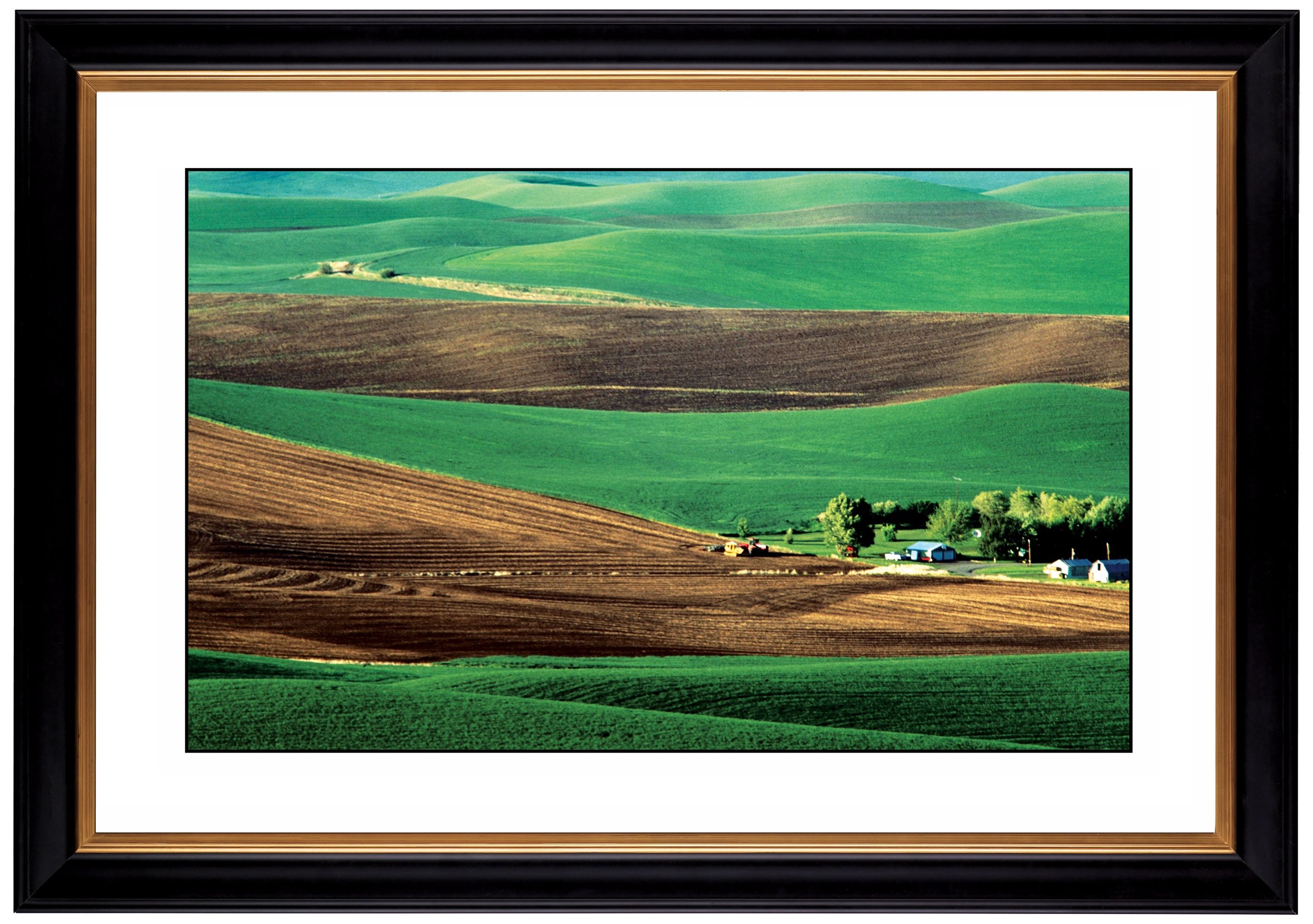 Red Desert Giclee 41 3/8" Wide Wall Art