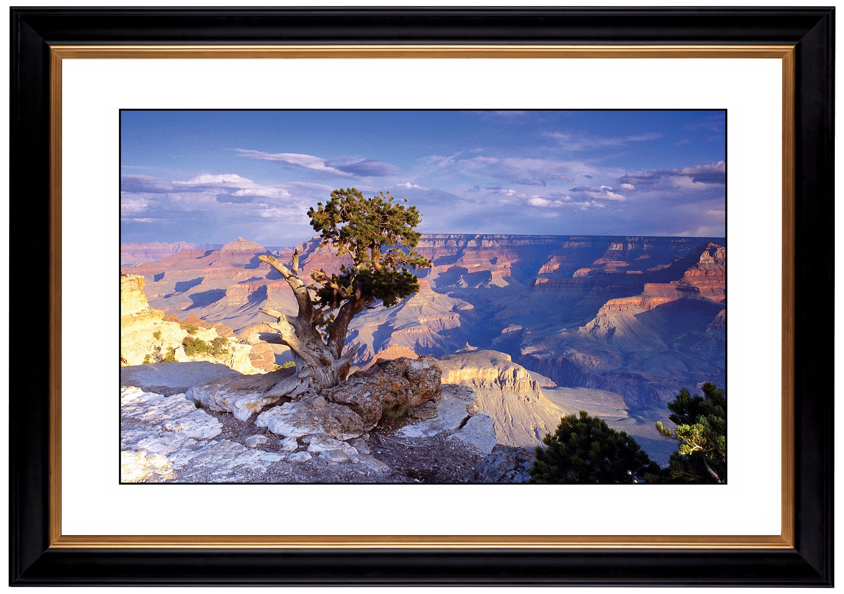 Southwest Canyon Giclee 41 3/8" Wide Wall Art