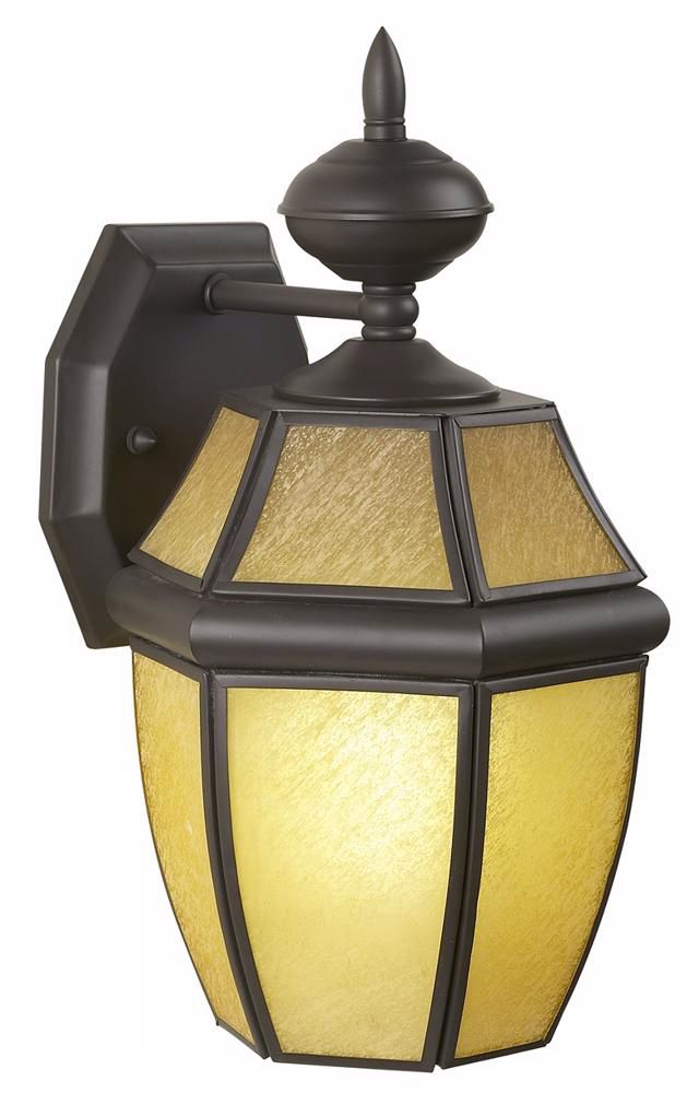 Bronze and Champagne Glass 13" High Outdoor Wall Light