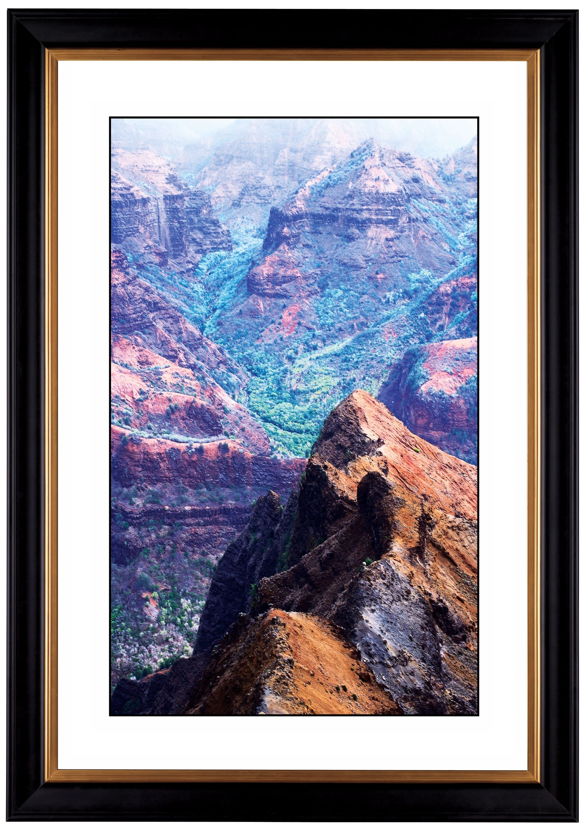 Canyon Vista Giclee 41 3/8" Wide Wall Art