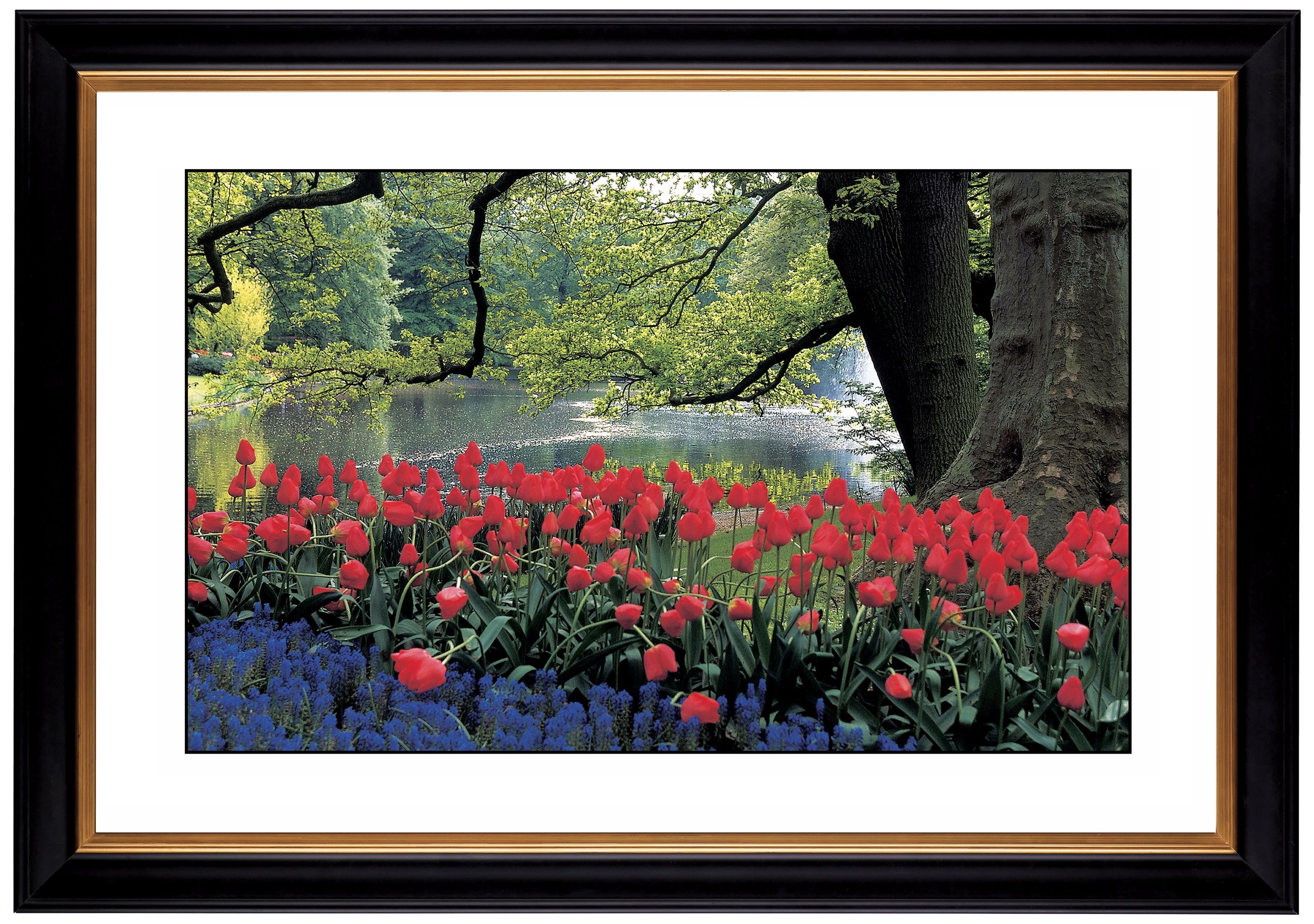Red Spring Giclee 41 38 Wide Wall Art 54202 80384