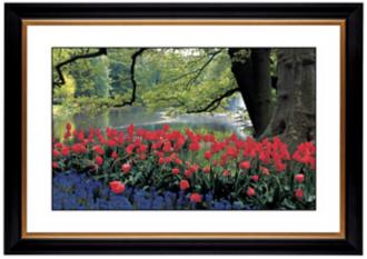 Red Spring Giclee 41 38 Wide Wall Art 54202 80384