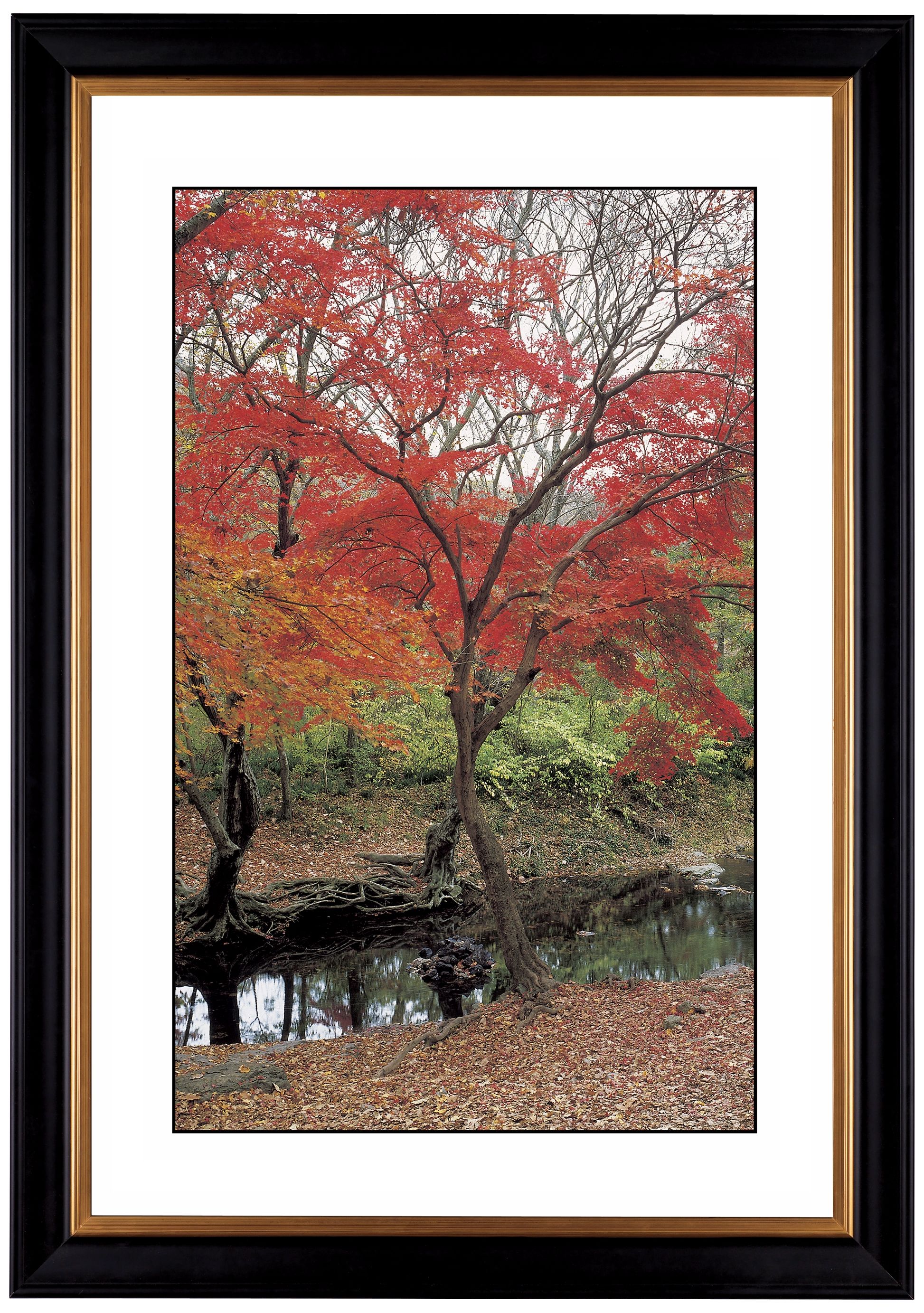 Red Autumn Giclee 41 3/8" Wide Wall Art