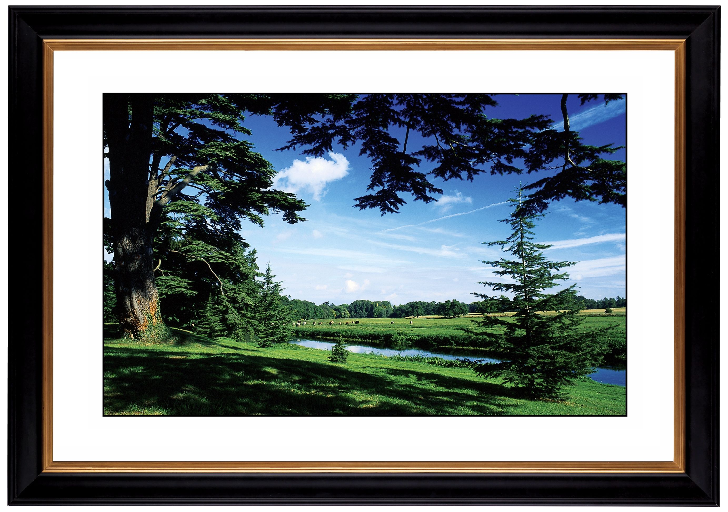 Blue Vista Giclee 41 3/8" Wide Wall Art