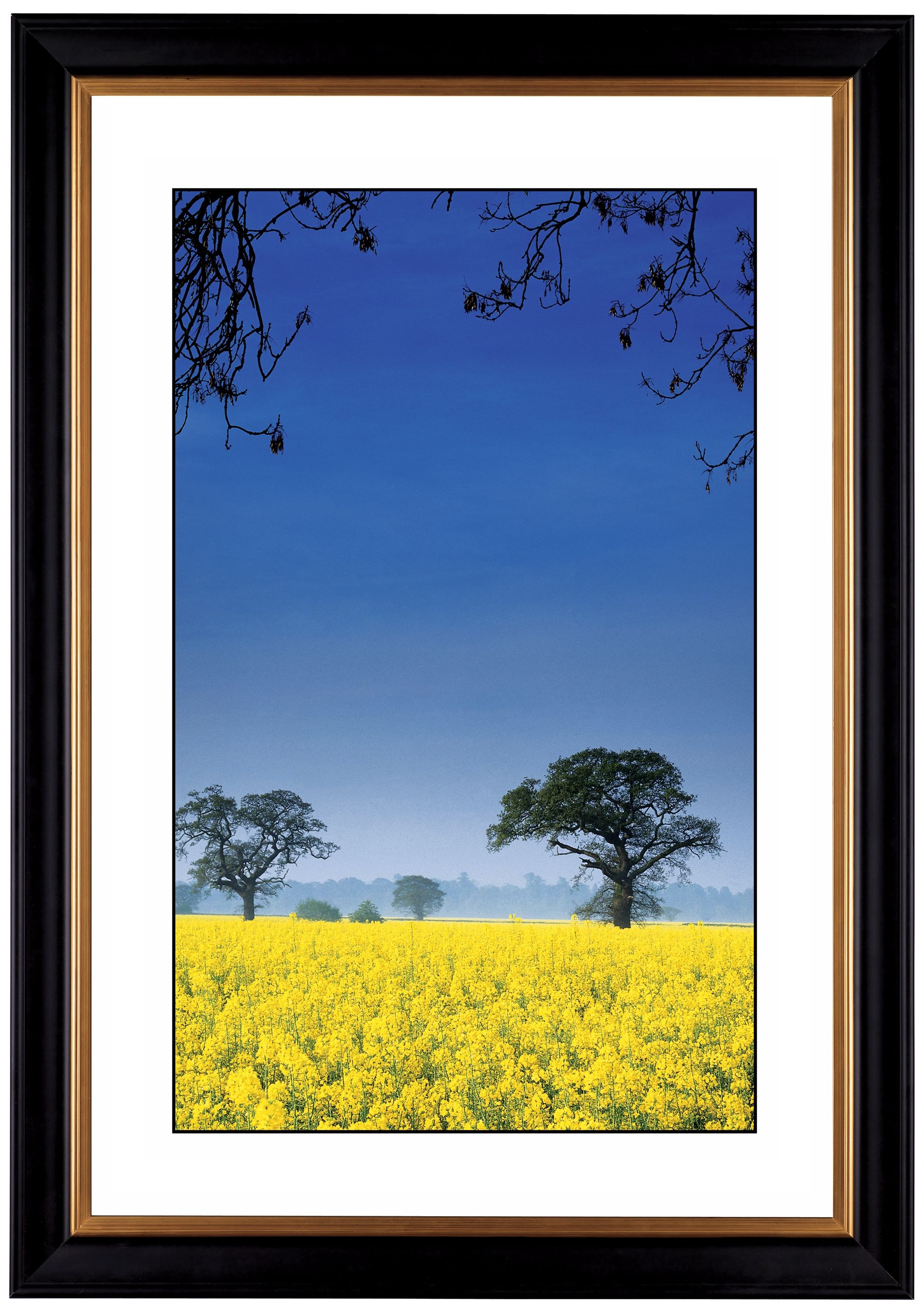 Field of Yellow Giclee 41 3/8" High Wall Art
