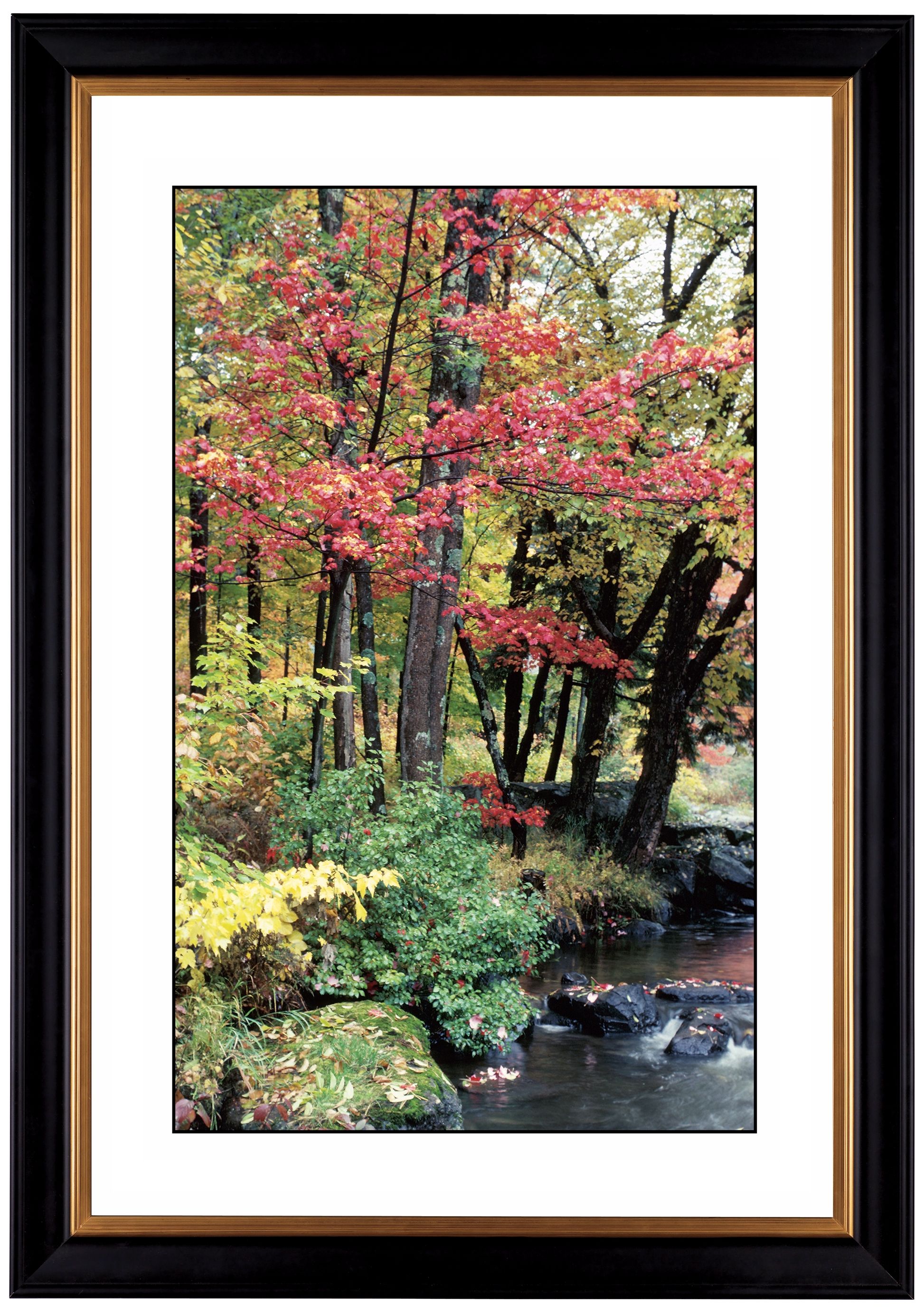 Autumn View Giclee 41 3/8" High Wall Art