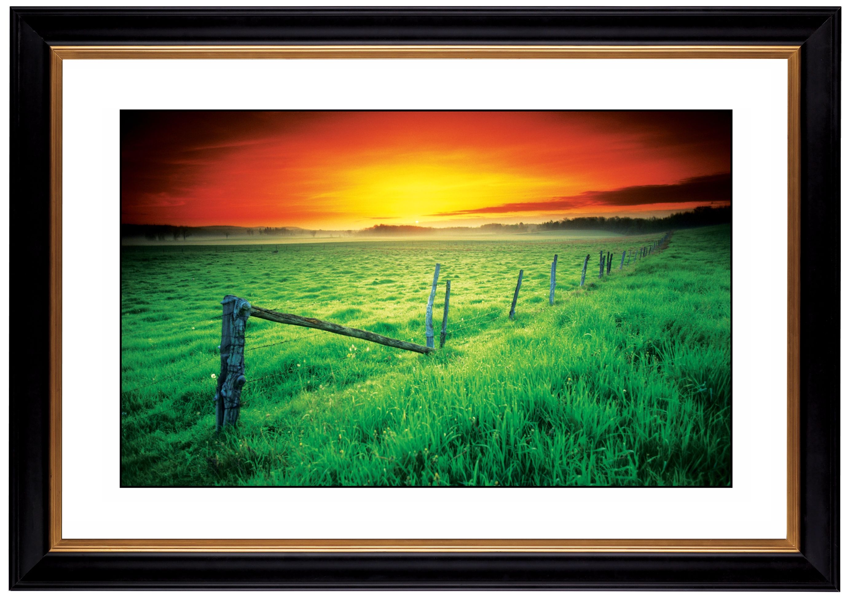 Sunrise Fenceline Giclee 41 3/8" Wide Wall Art