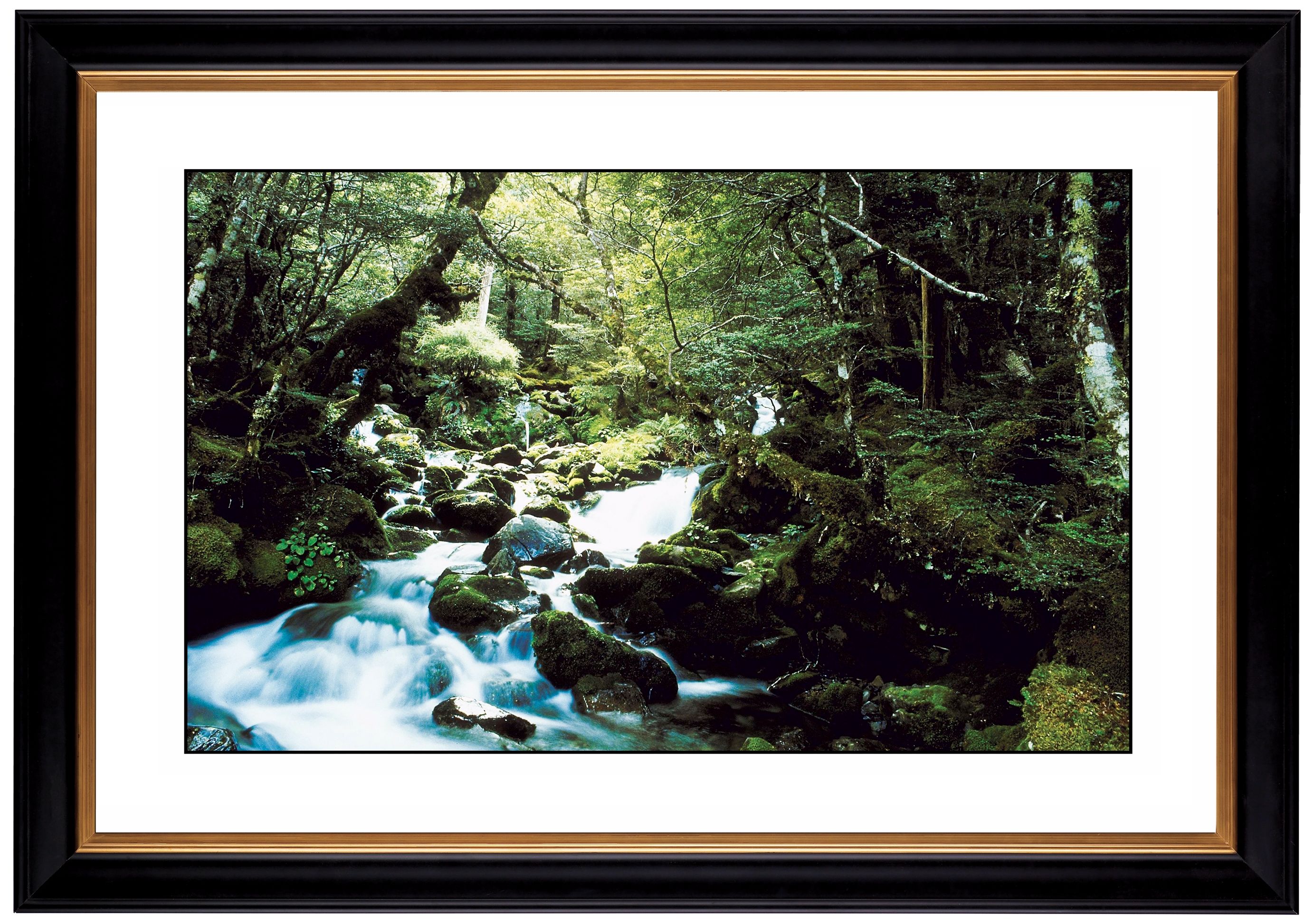 Forest Brook Giclee 41 3/8" Wide Wall Art