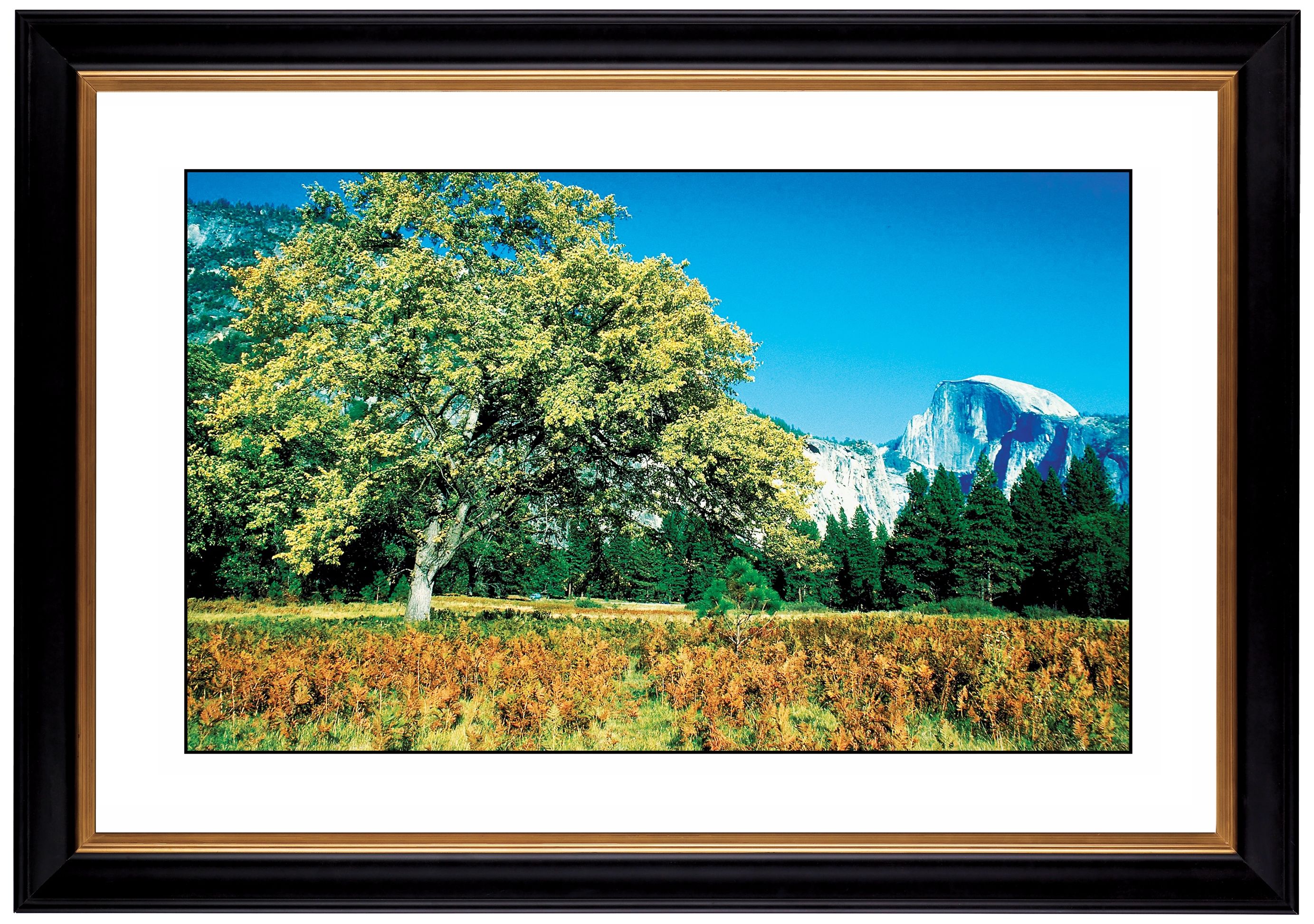Mountain Valley Giclee 41 3/8" Wide Wall Art