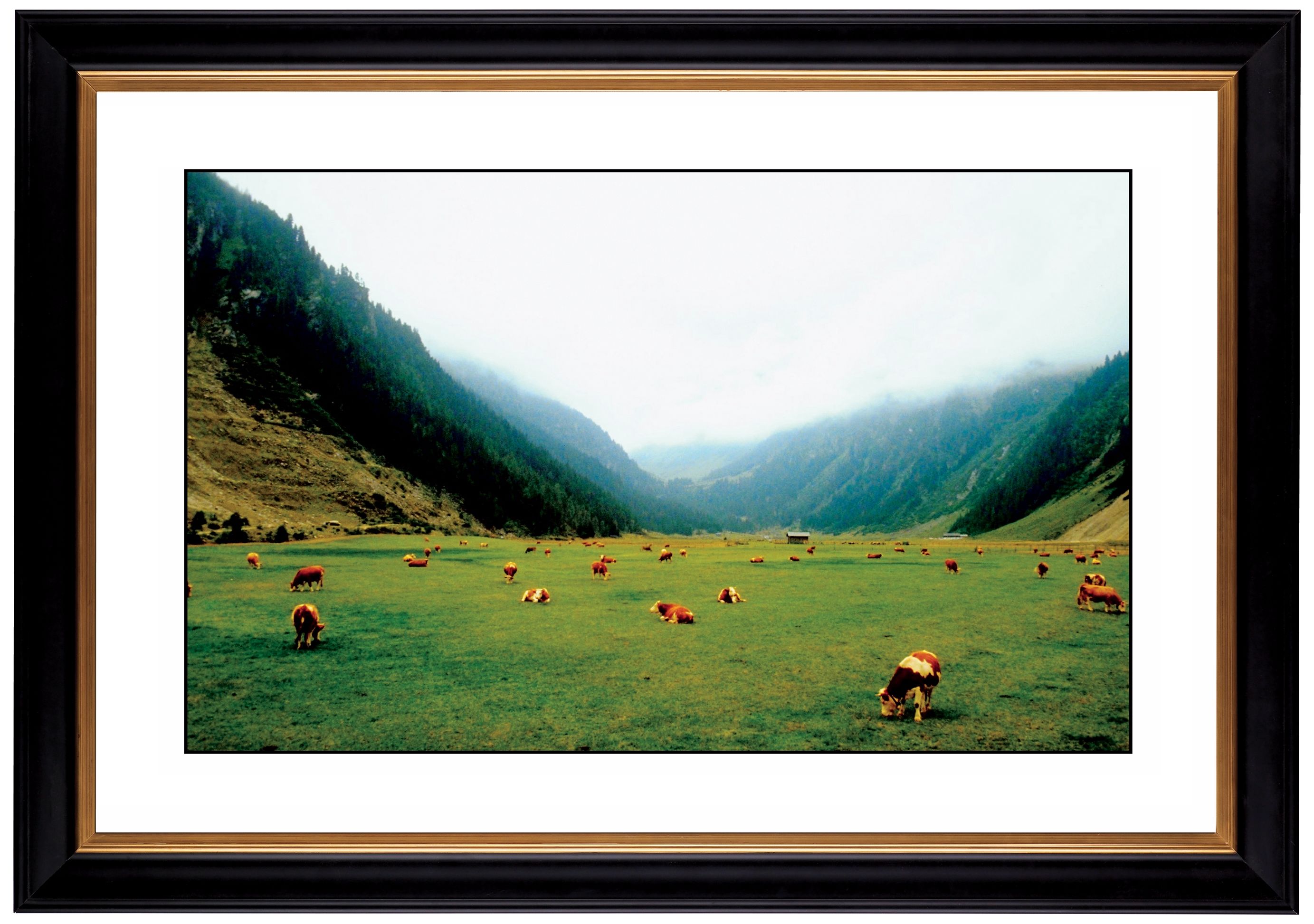Alpine Pasture Giclee 41 3/8" Wide Wall Art