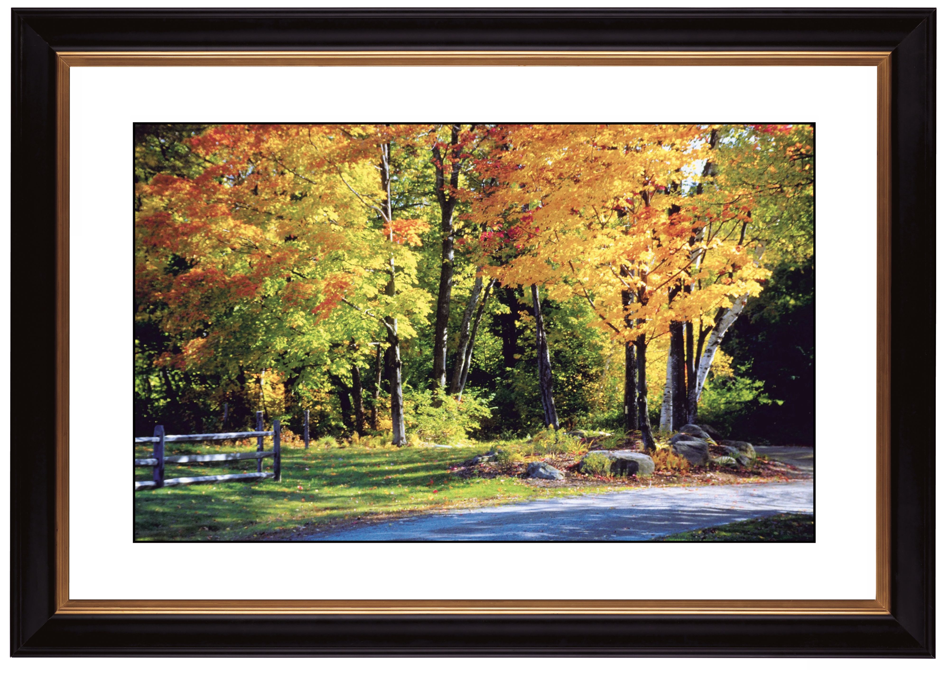 Falling Leaves Giclee 41 3/8" Wide Wall Art