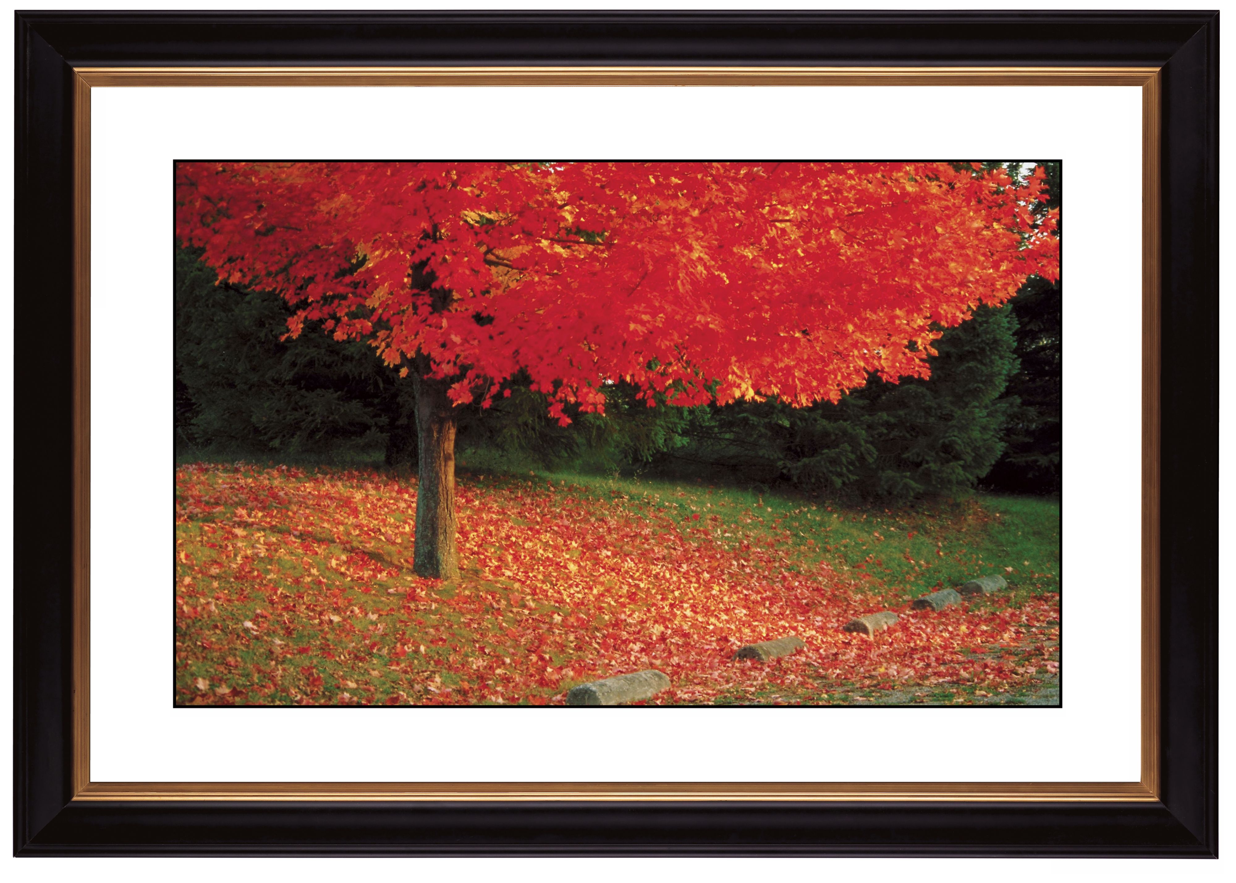 http://www.lampsplus.com/Products/s_autumn/page_2/57215-80384/