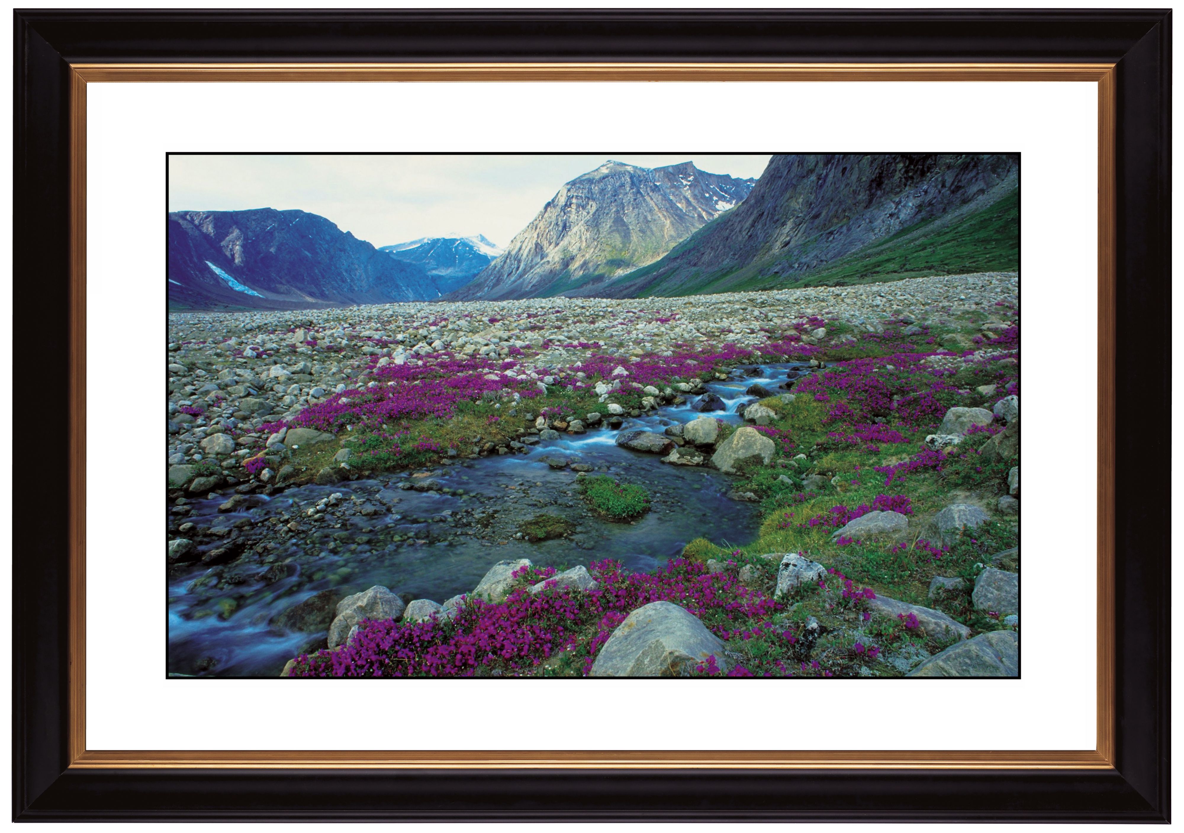 Mountain Running Spring Giclee 41 3/8" Wide Wall Art