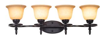 Iron Circle 30 14 Wide Bathroom Light Fixture 59531