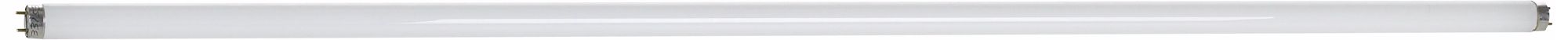 32 watt T8 SP 41 Fluorescent Light Bulb