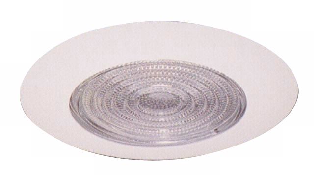 6" Vertical CFL Shower Trim With Fresnel Lens