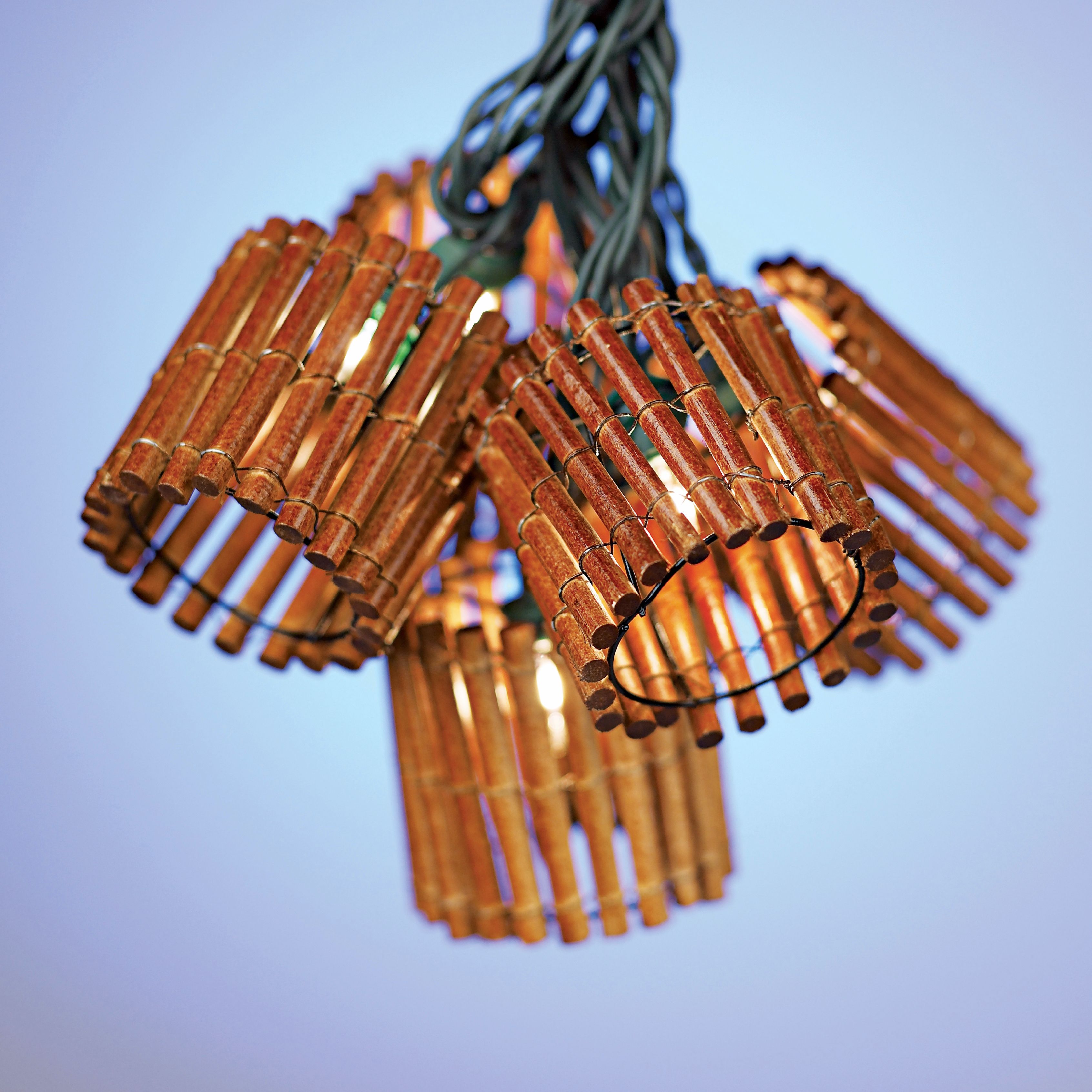 Bamboo 10-Light String Light Set