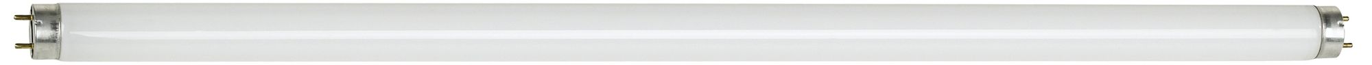17 Watt T8 Octron Fluorescent Bulb