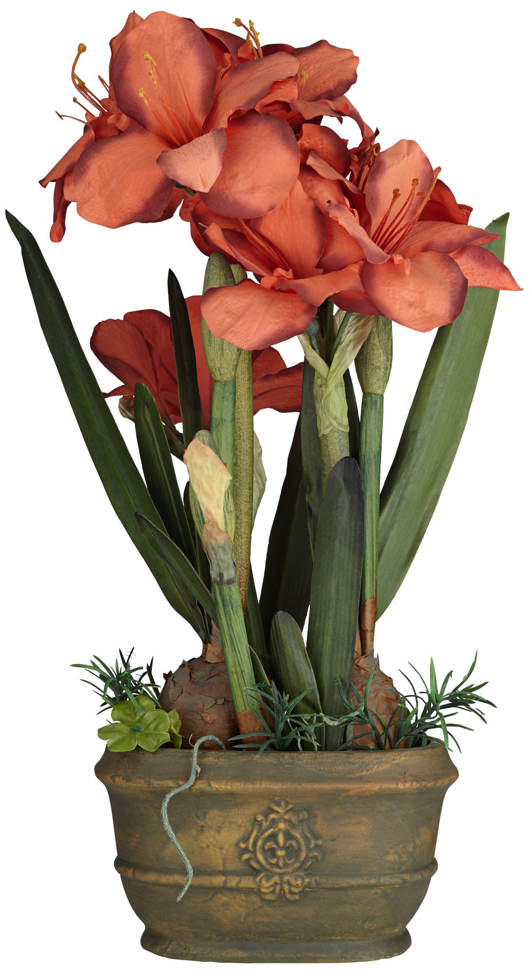 Red Triple Amaryllis Flower Arrangement