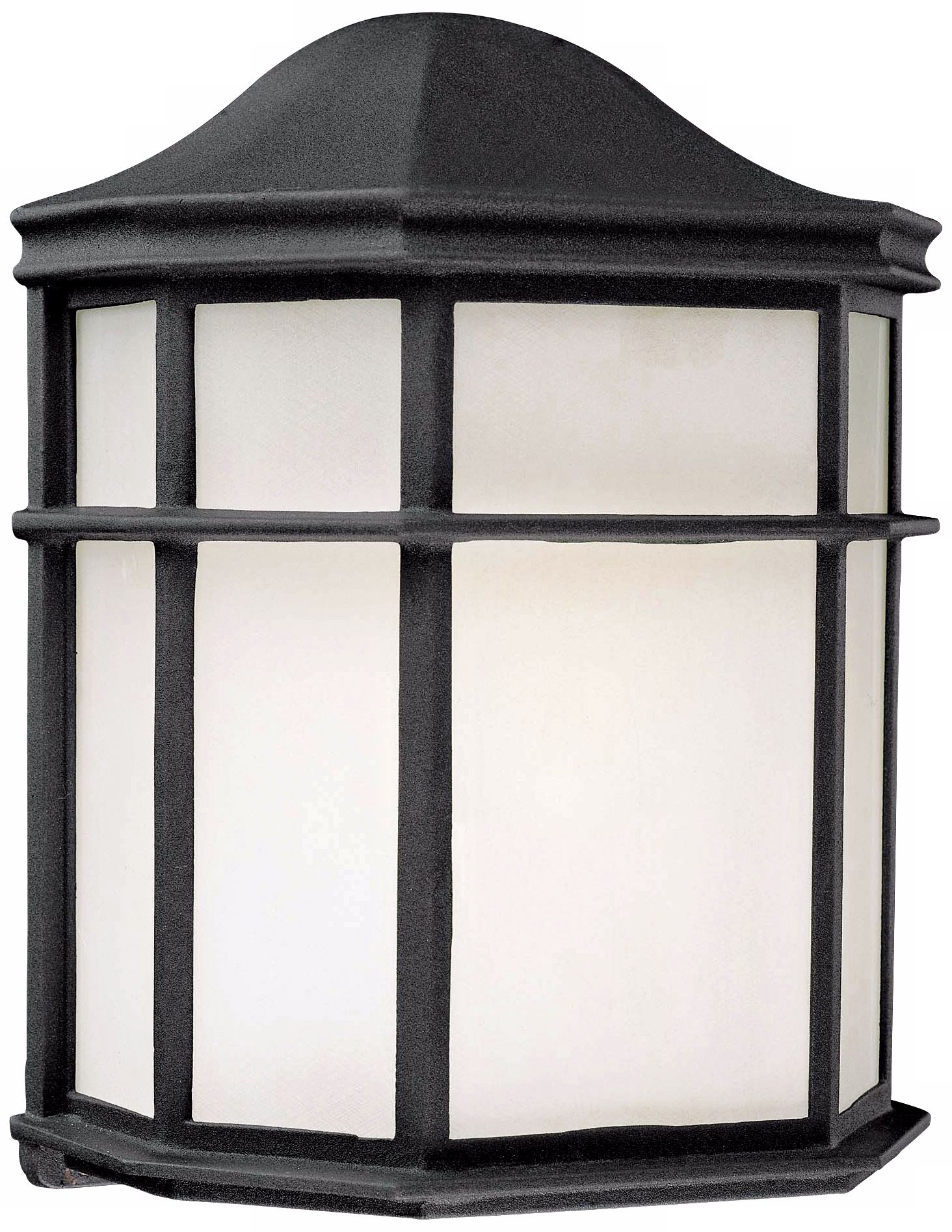 ENERGY STAR Black Outdoor Wall Light