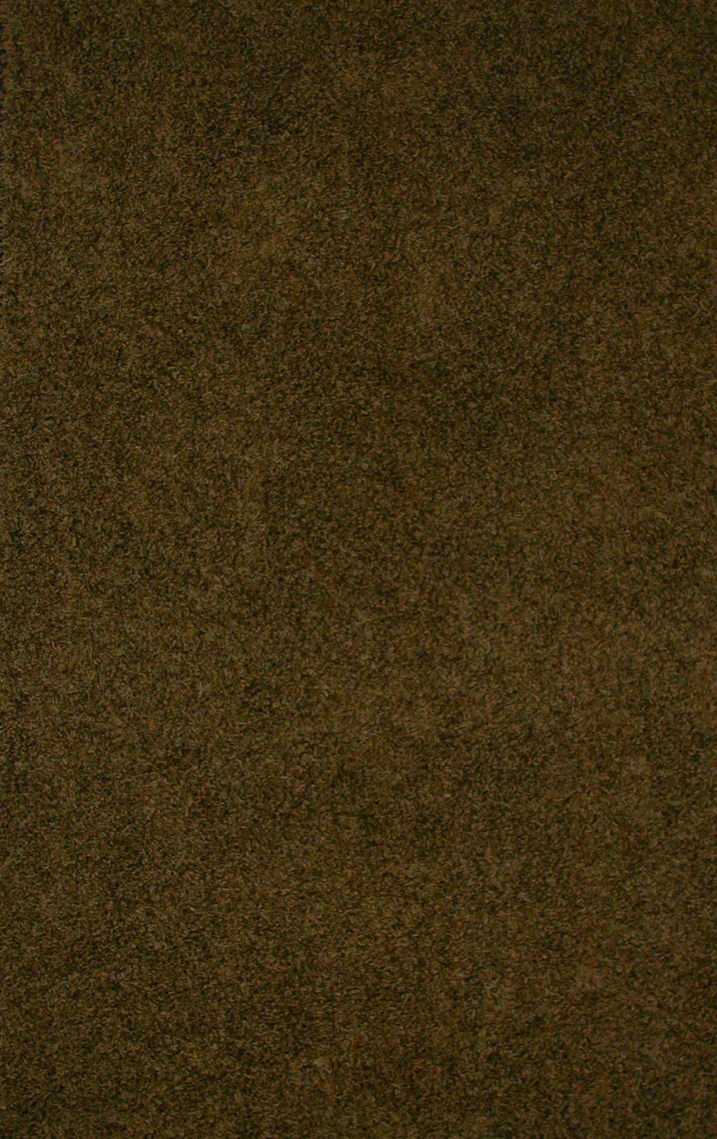 Artistic Forest Green Area Rug