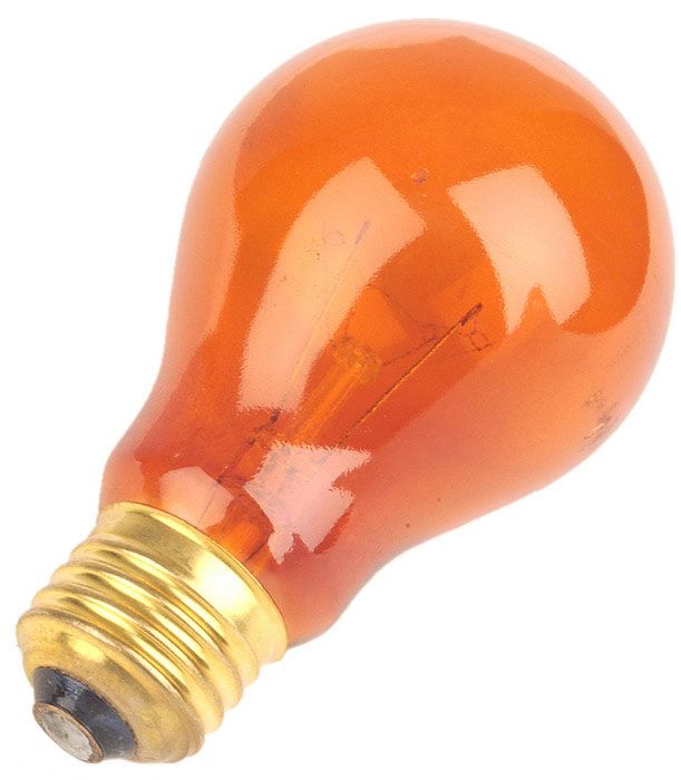 Orange 25 Watt Party Light Bulb