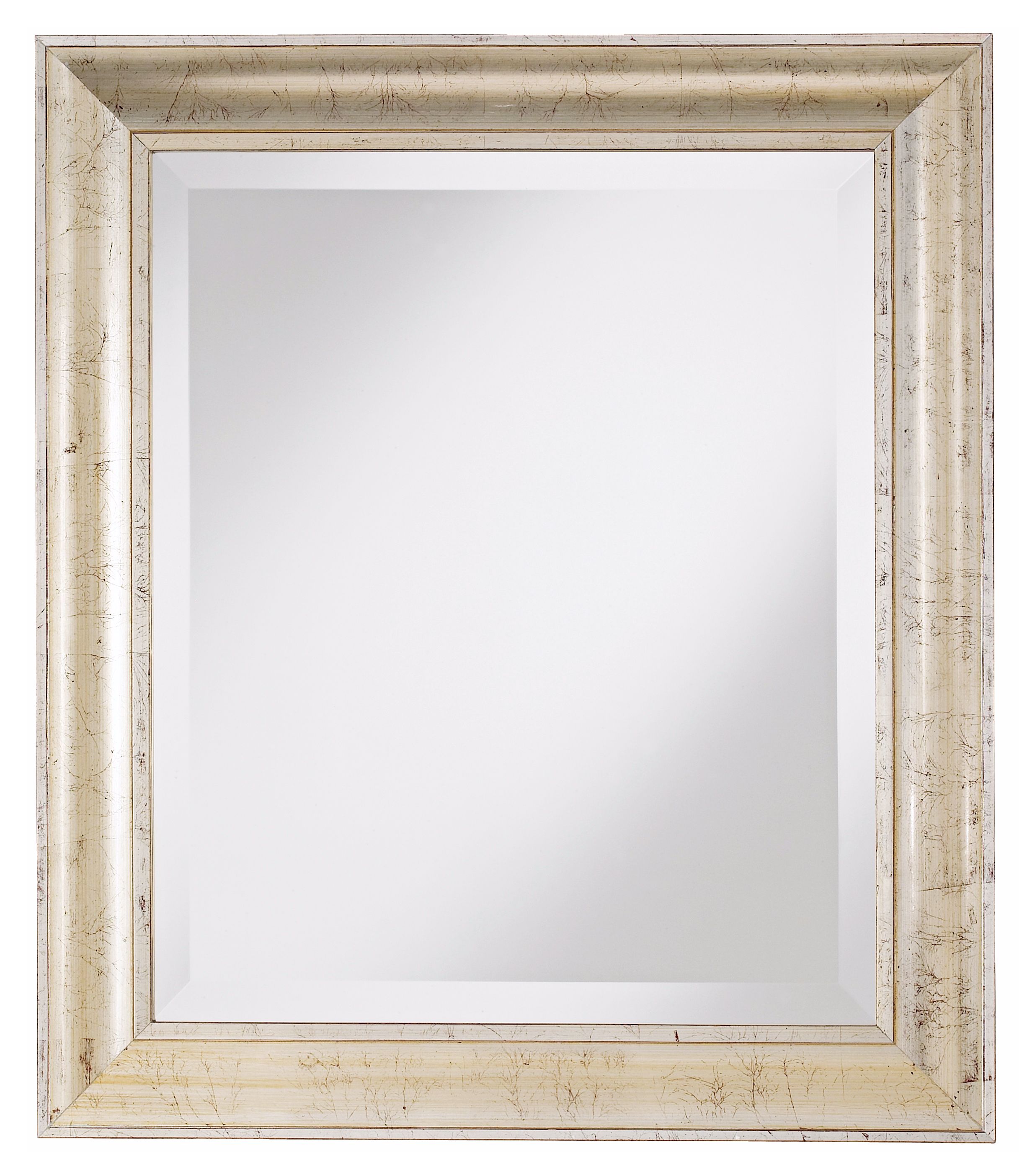 Weathered  Silver 30" High Wall Mirror