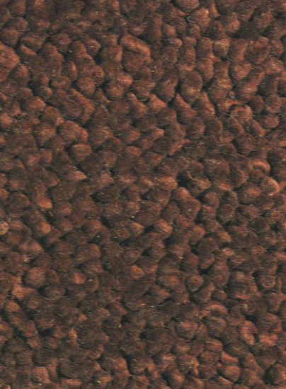 Contempo Brown Area Rug