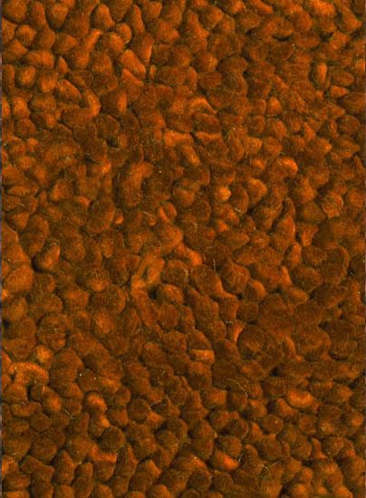 Contempo Rust Area Rug