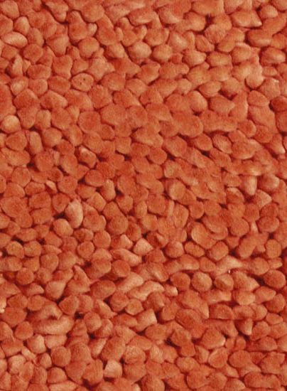Contempo Tangerine Area Rug