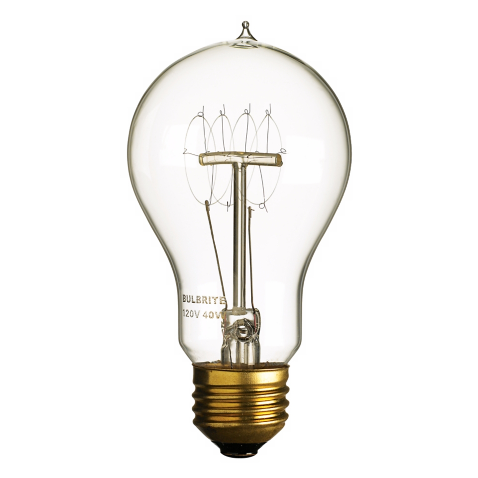 Victorian Edison Style 40 Watt Light Bulb   #80600