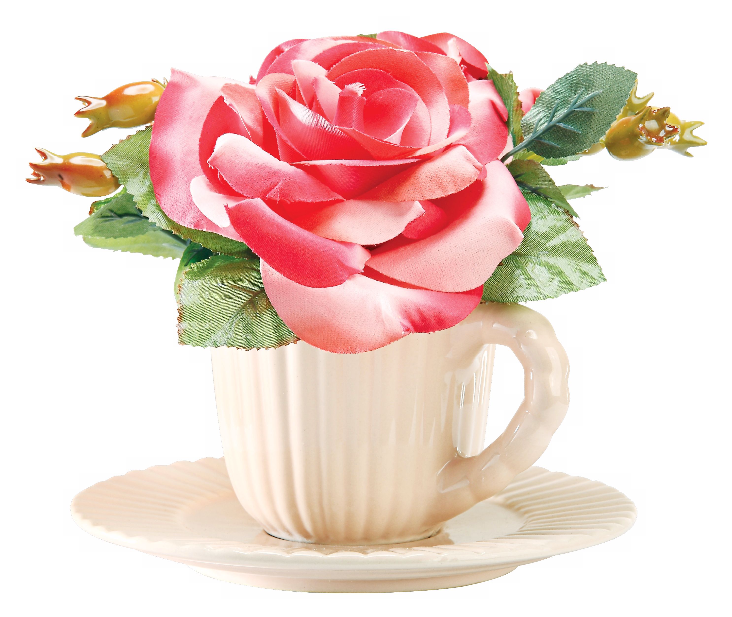 Pink Rose in Pink Teacup and Saucer