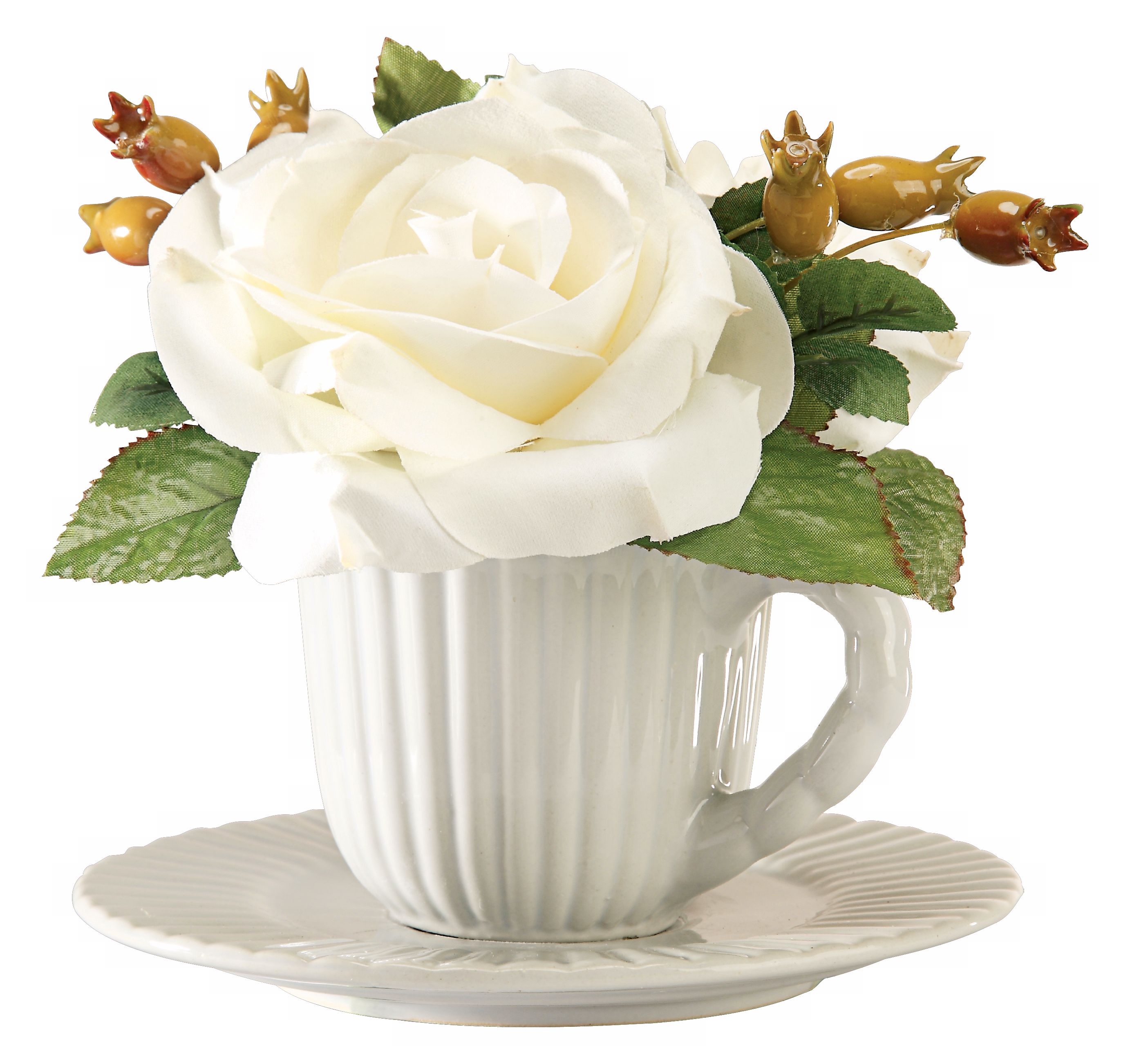 White Roses in White Teacup and Saucer