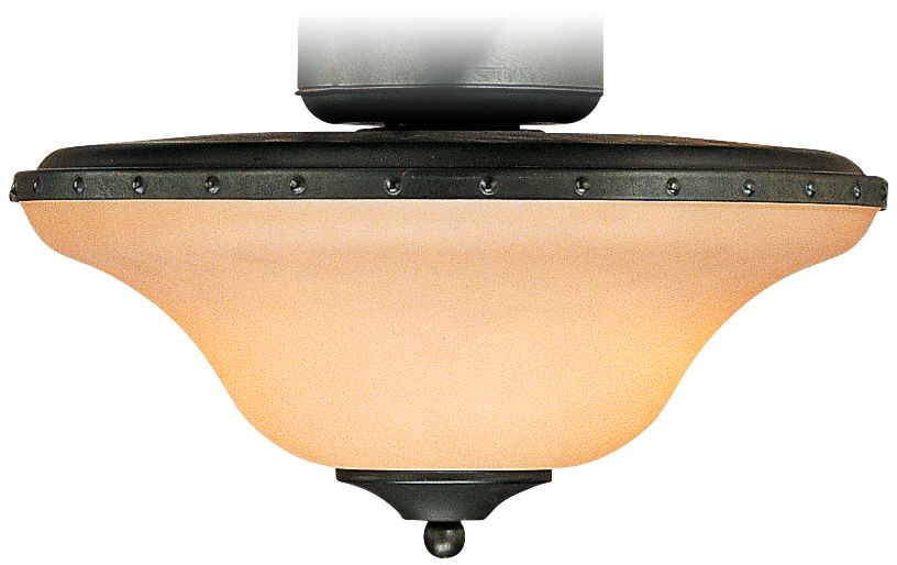 Wet Location Horseshoe Black Light Kit