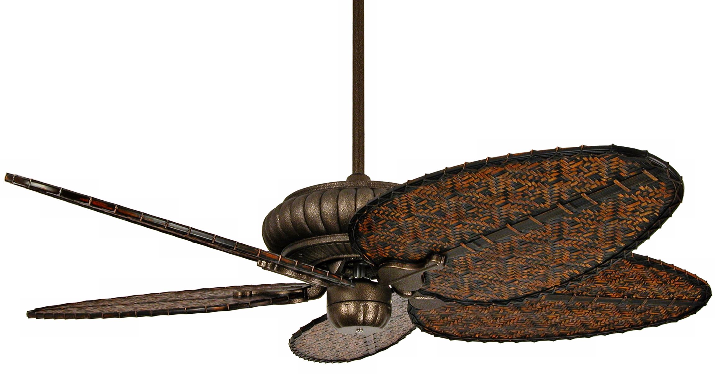 52" Fanimation Belleria Aged Bronze Ceiling Fan