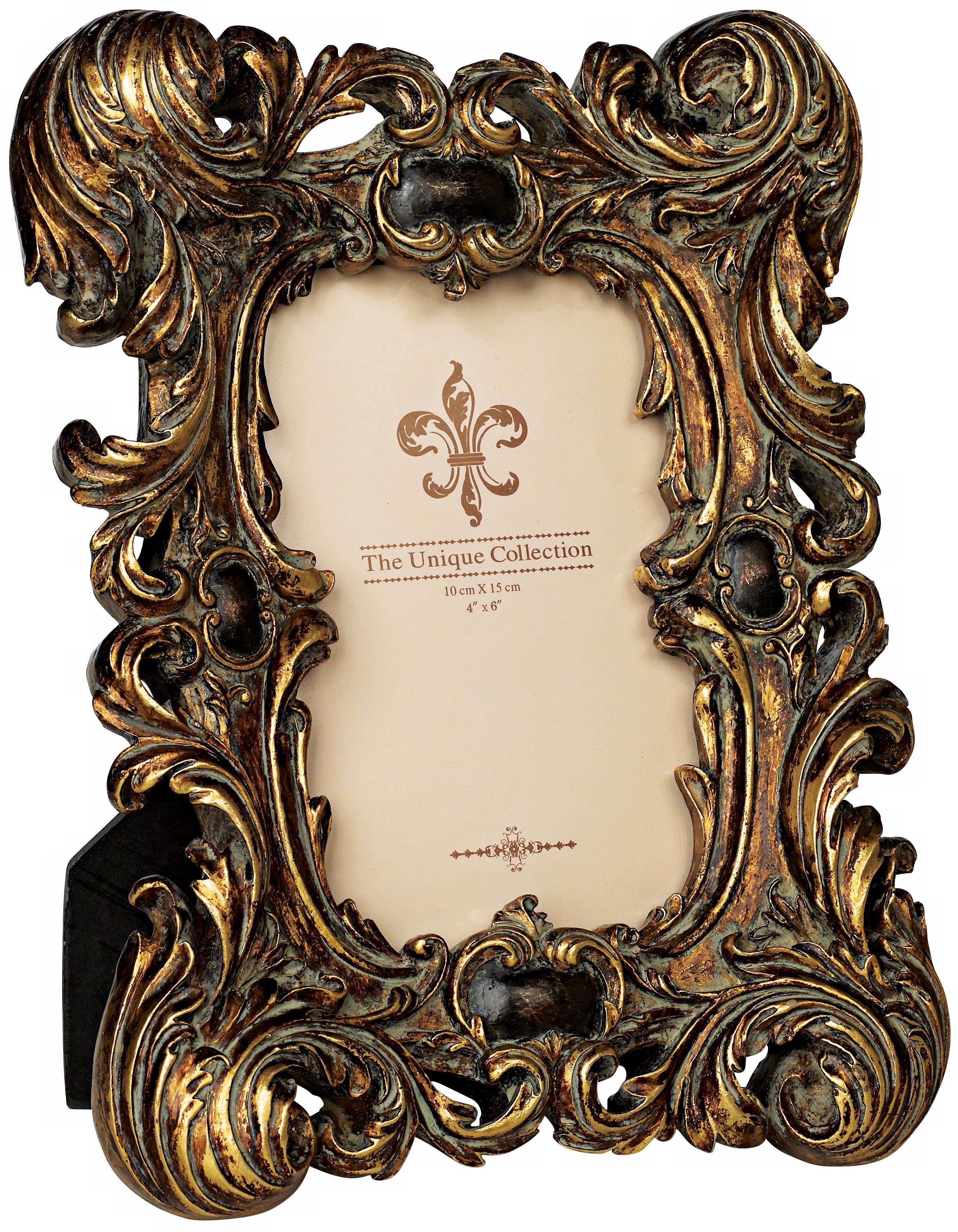 Alexander Gold with Black Rub Ornate Picture Frame