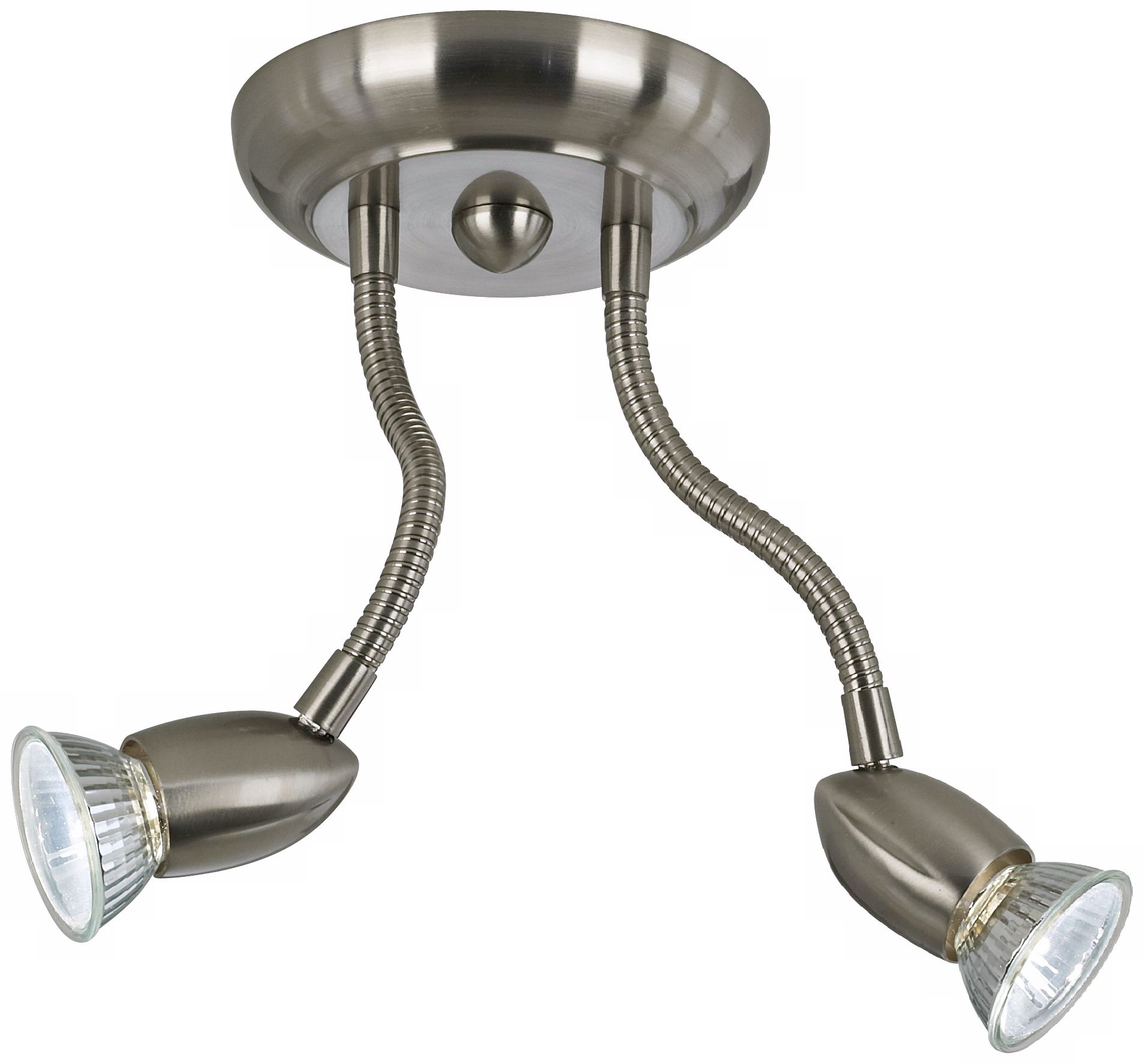Pro Track® Double Gooseneck Ceiling Light